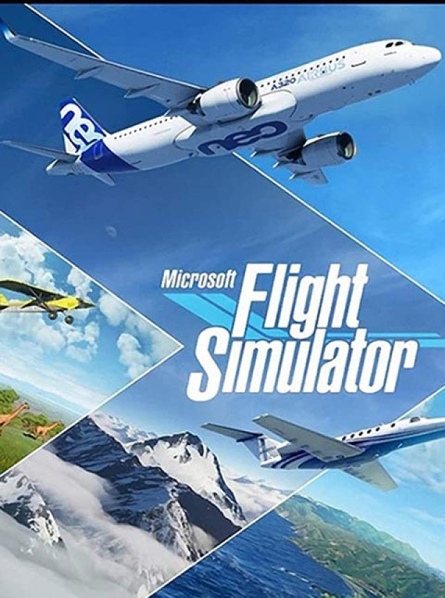 Microsoft Flight Simulator